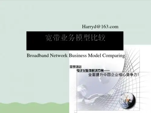 试谈宽带业务模型的比较PPT(共41页)