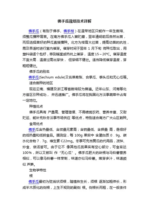 佛手瓜栽培技术详解
