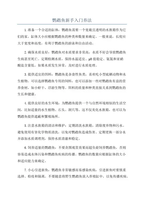 鹦鹉鱼新手入门养法