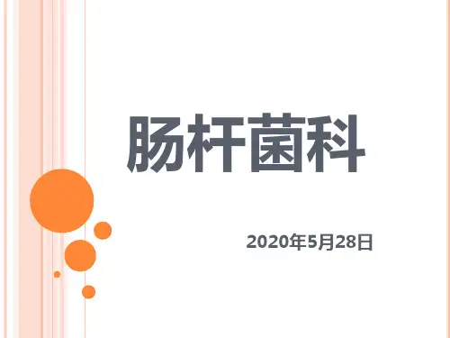4.肠杆菌科