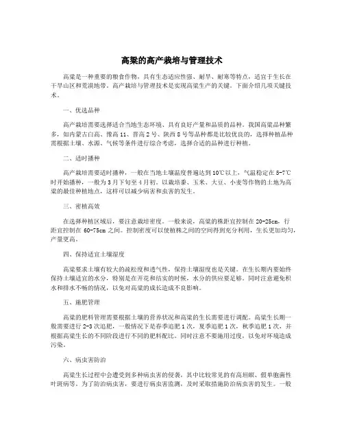 高粱的高产栽培与管理技术