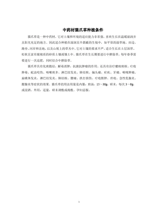 中药材猫爪草种植条件