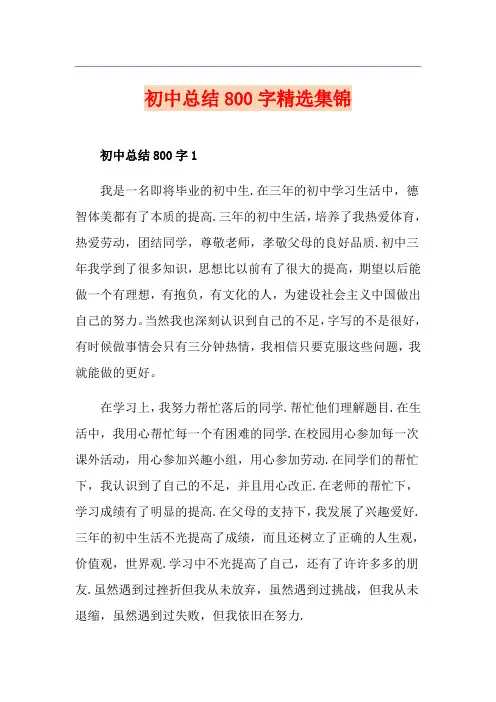 初中总结800字精选集锦