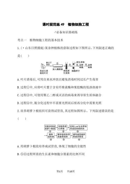 人教版高考生物学一轮总复习课后习题 第10单元 生物技术与工程 课时规范练49 植物细胞工程