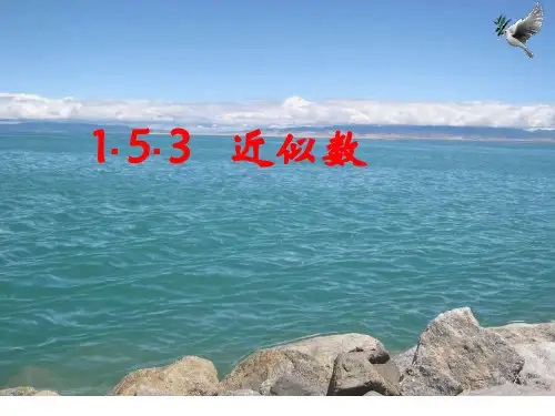 《近似数》ppt课件人教版1