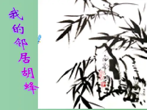 高中语文《我的邻居胡蜂》课件 苏教版必修2