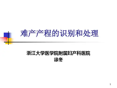 难产的识别和处理PPT课件