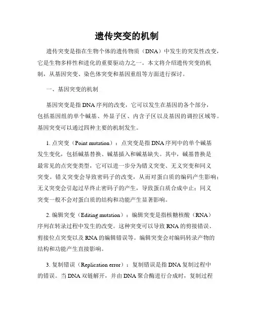 遗传突变的机制