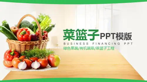 蔬菜果蔬农业绿色果蔬有机蔬菜菜篮子工程模版PPT通用模板