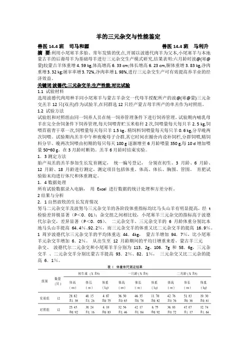 羊的三元杂