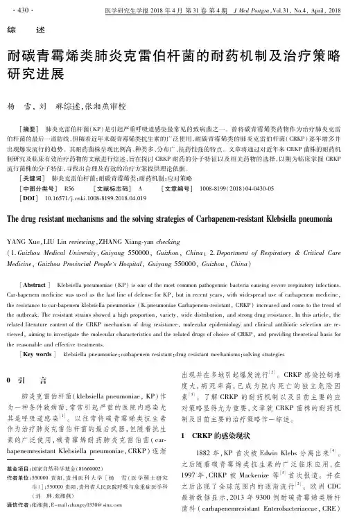 耐碳青霉烯类肺炎克雷伯杆菌的耐药机制及治疗策略研究进展