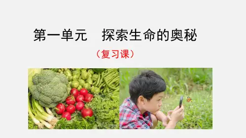 第1单元复习课 探索生命的奥秘七年级生物上学期(苏教版)