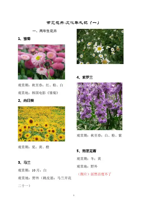 莆田常见花卉