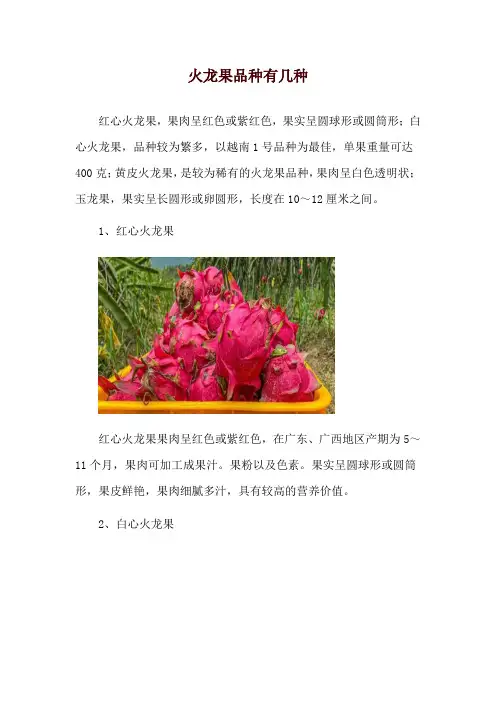 火龙果品种有几种