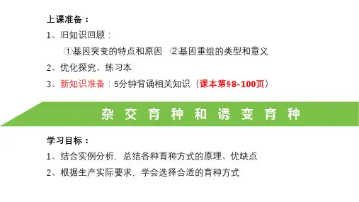 2023届高三生物一轮复习课件杂交育种与诱变育种