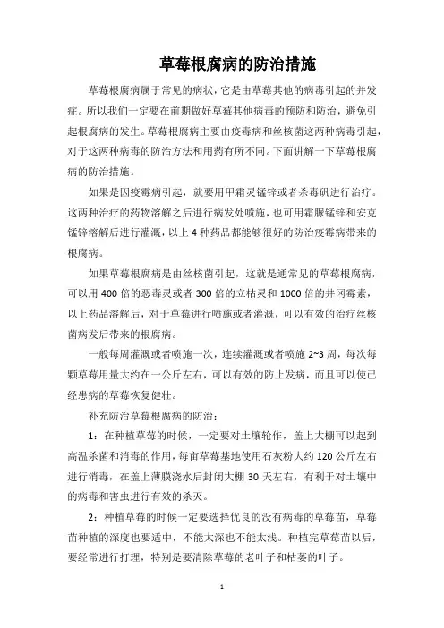 草莓根腐病的防治措施