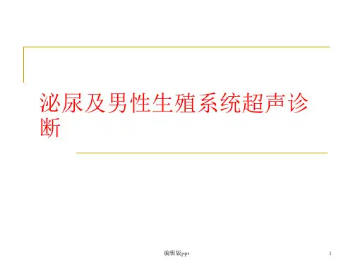 泌尿及男性生殖系统超声诊断ppt课件