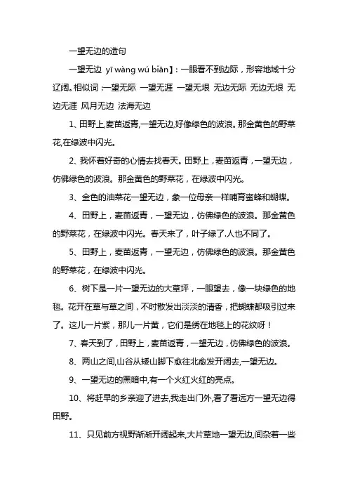 一望无边的造句