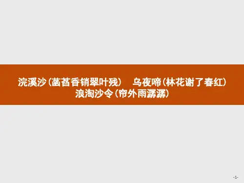 苏教版-语文-高二-语文苏教版《唐诗宋词》选读课件 七展苞初放的唐五代词 2