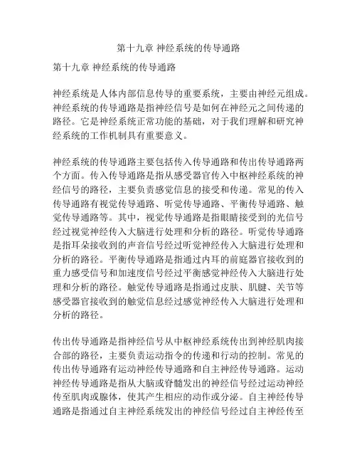 第十九章 神经系统的传导通路 