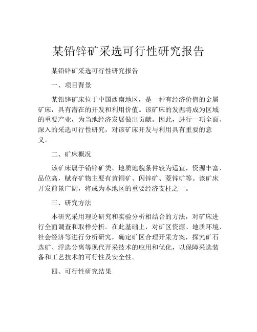 某铅锌矿采选可行性研究报告