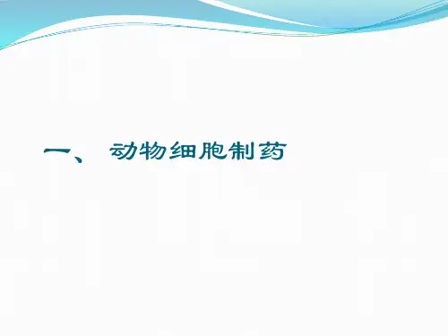 动物细胞制药课件