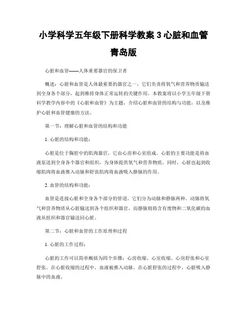 小学科学五年级下册科学教案3心脏和血管青岛版