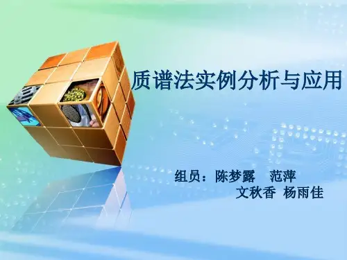 质谱仪(质谱法)实例分析与应用