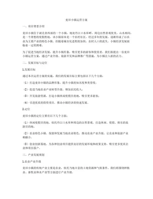 麦田小镇运营方案