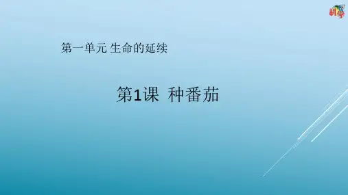 四年级上册第1课《种番茄》教学课件