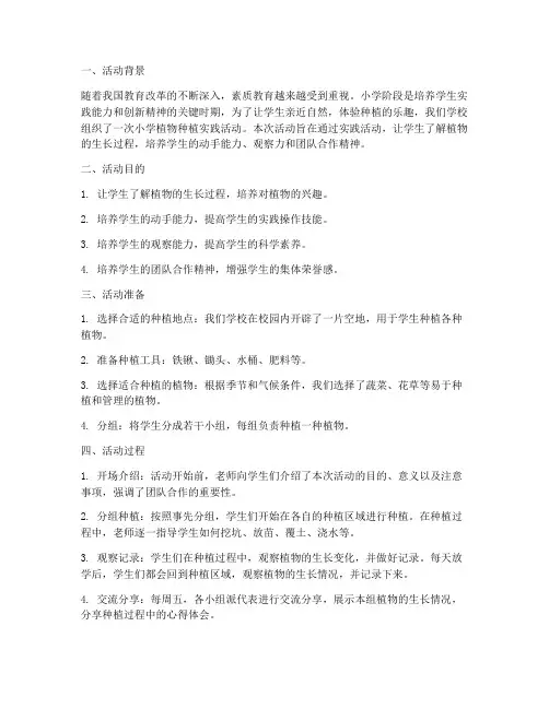 小学植物种植实践活动
