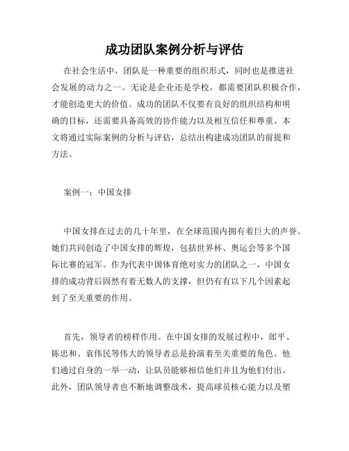 成功团队案例分析与评估