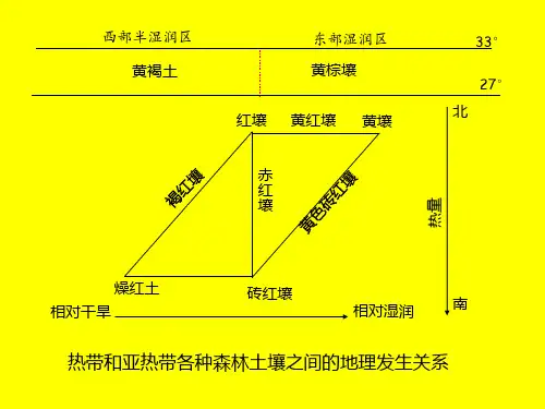 第八章 黄棕壤和黄褐土