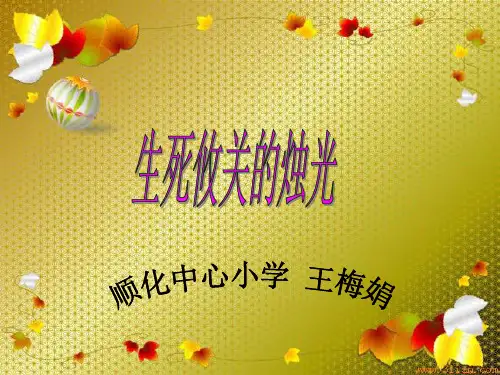 北师大版语文第九册《生死攸关的烛光》PPT课件3   大赛获奖精美课件PPT