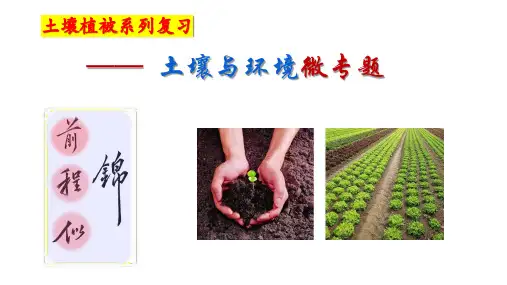 2025届高考地理一轮复习：土壤+课件