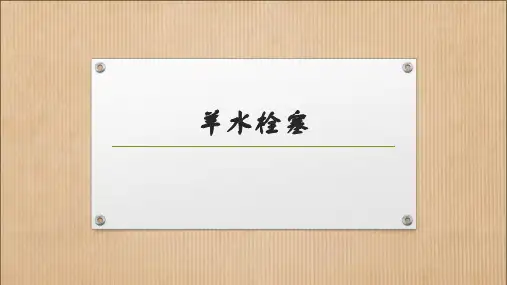 羊水栓塞 