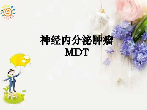 神经内分泌肿瘤ppt课件