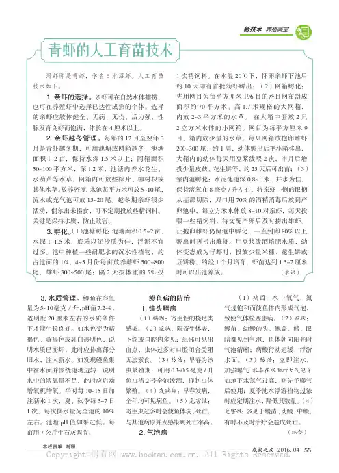 青虾的人工育苗技术