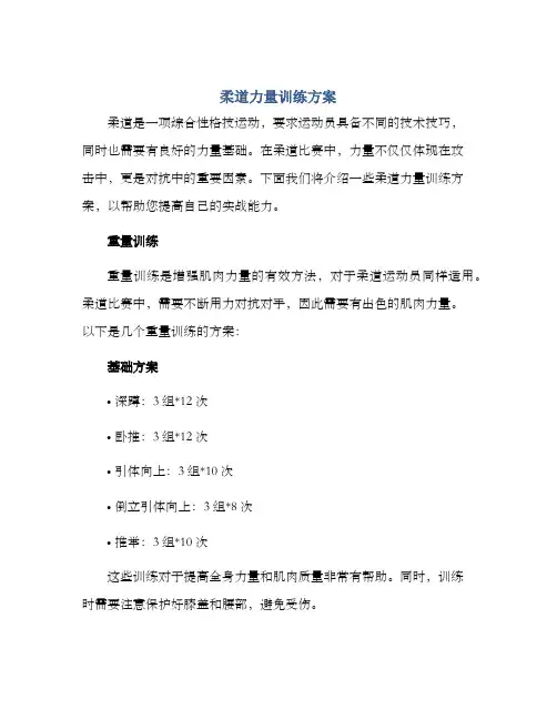 柔道力量训练方案