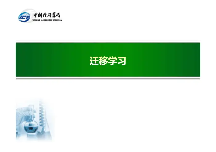 迁移学习的分类方法二