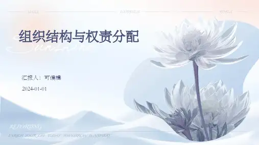 组织结构与权责分配