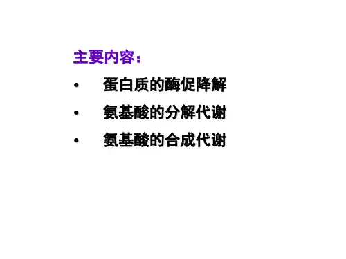 蛋白质的降解和氨基酸的代谢