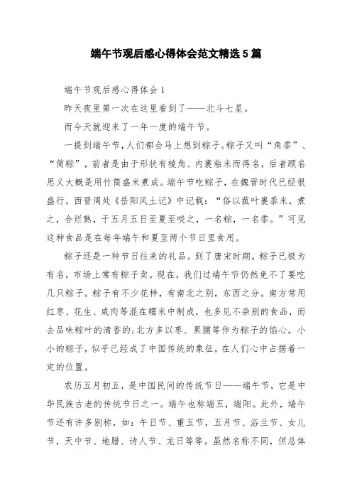 端午节观后感心得体会范文精选5篇