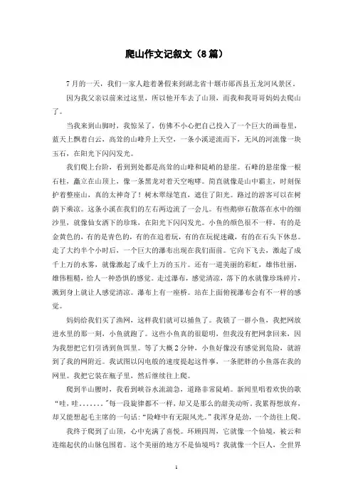 爬山作文记叙文(8篇)