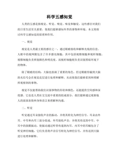 科学五感知觉