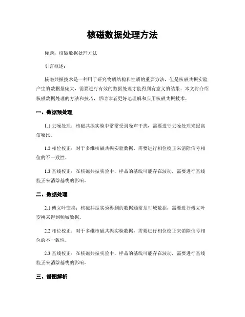 核磁数据处理方法