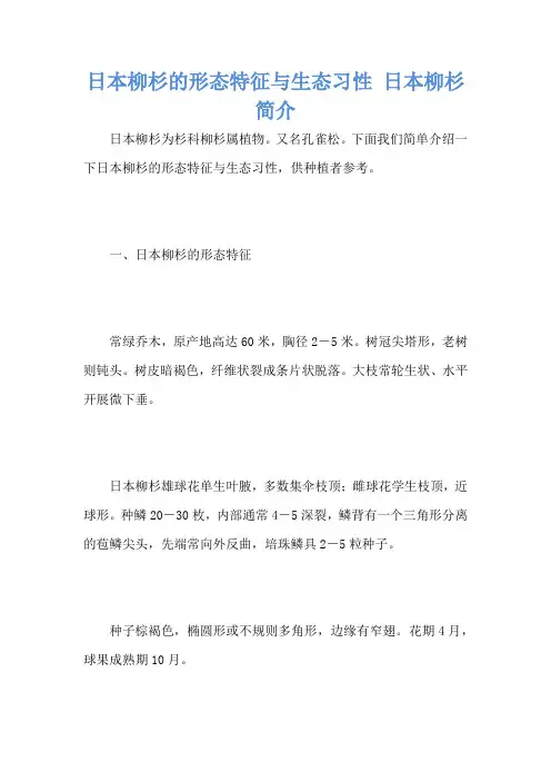 日本柳杉的形态特征与生态习性 日本柳杉简介