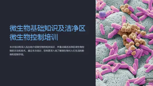 微生物基础知识及洁净区微生物控制培训