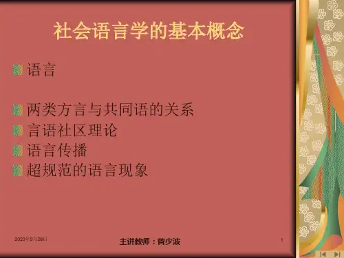 3社会语言学的基本概念PPT课件