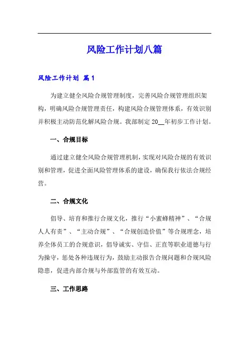 风险工作计划八篇